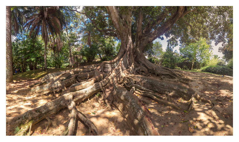 JARDIM BOTNICO JOS DO CANTO